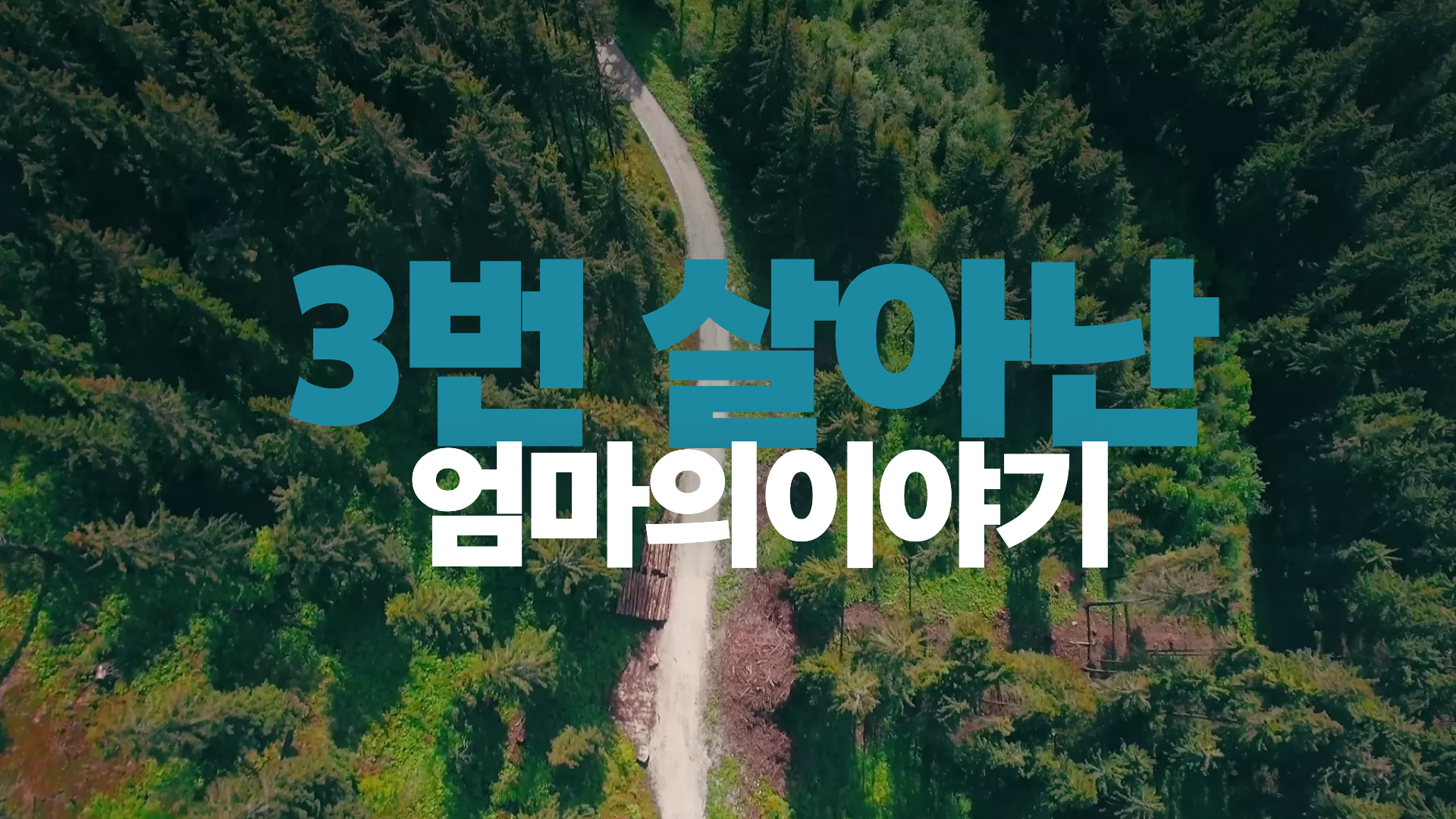 이수연(경기도의원 청년후보)